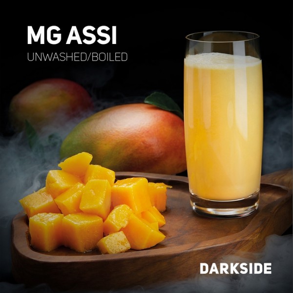 Darkside Core Line - MG Assi 25g